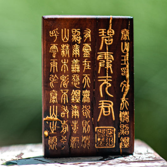 Xuan Lei · Guardian of the True